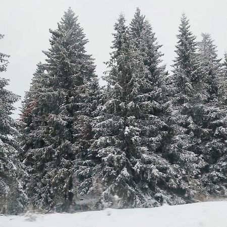Apartmani Sorak Kopaonik, Studio Apartman A10 Dış mekan fotoğraf